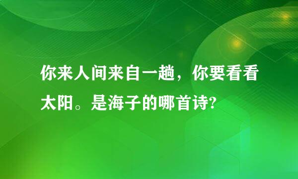 你来人间来自一趟，你要看看太阳。是海子的哪首诗?