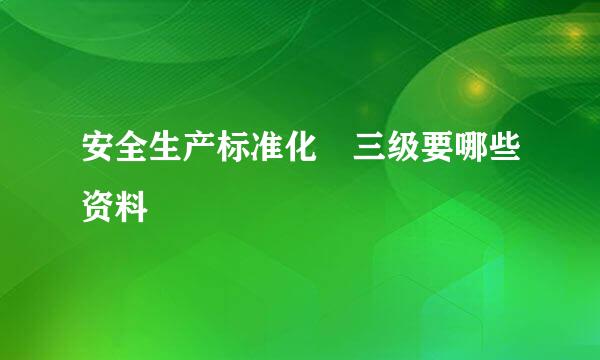 安全生产标准化 三级要哪些资料