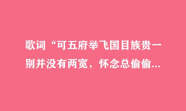 歌词“可五府举飞国目族贵一别并没有两宽，怀念总偷偷地试探”是什么歌？