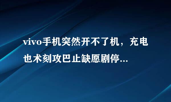 vivo手机突然开不了机，充电也术刻攻巴止缺愿剧停件没有任何反应？