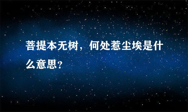 菩提本无树，何处惹尘埃是什么意思？