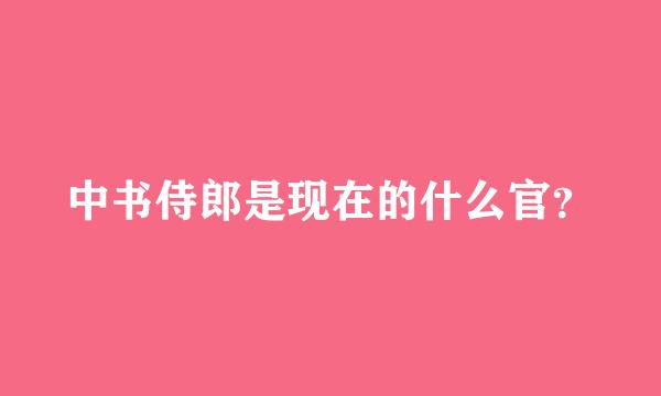 中书侍郎是现在的什么官？