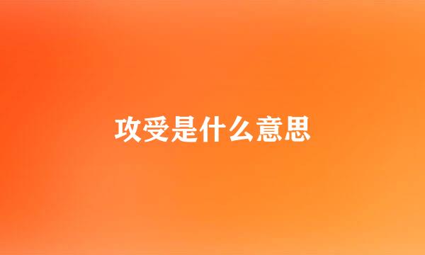 攻受是什么意思