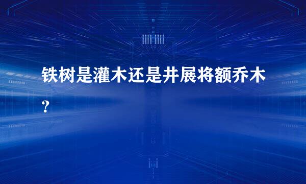 铁树是灌木还是井展将额乔木？