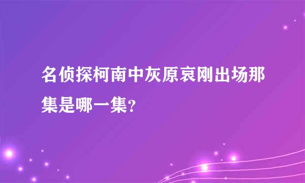 名侦探柯南中灰原哀刚出场那集是哪一集？