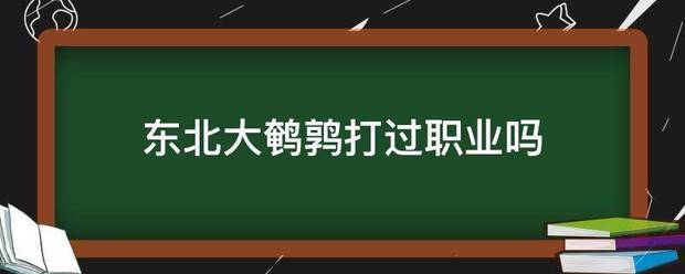 东北大鹌鹑打过职业吗