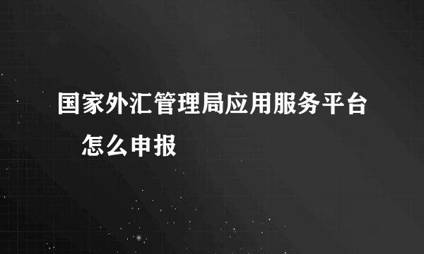 国家外汇管理局应用服务平台 怎么申报