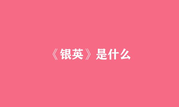 《银英》是什么