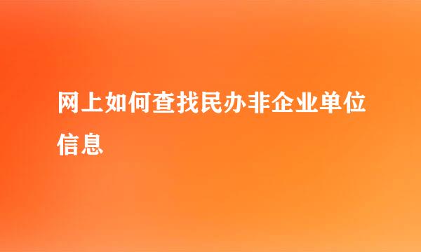 网上如何查找民办非企业单位信息