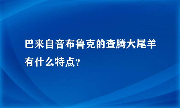 巴来自音布鲁克的查腾大尾羊有什么特点？