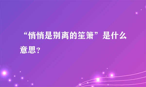 “悄悄是别离的笙箫”是什么意思？