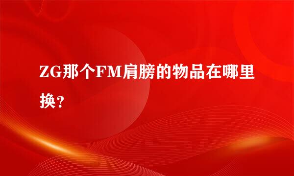 ZG那个FM肩膀的物品在哪里换？