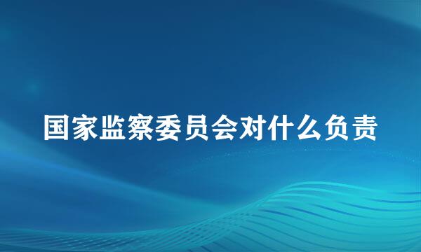 国家监察委员会对什么负责