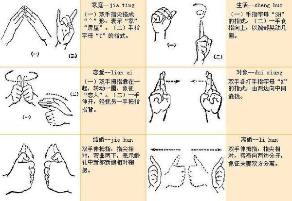 中国手语大全