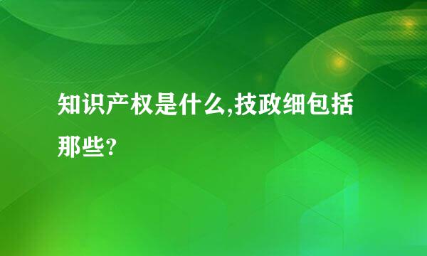 知识产权是什么,技政细包括那些?