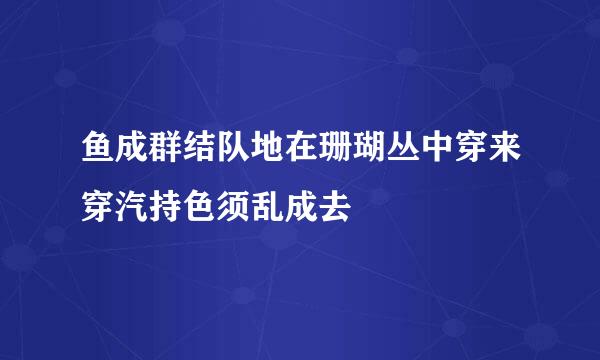 鱼成群结队地在珊瑚丛中穿来穿汽持色须乱成去