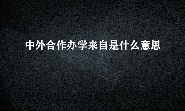 中外合作办学来自是什么意思