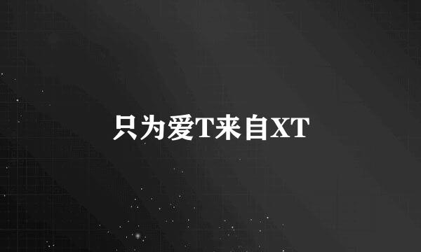 只为爱T来自XT