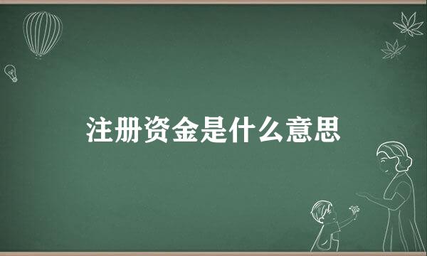 注册资金是什么意思