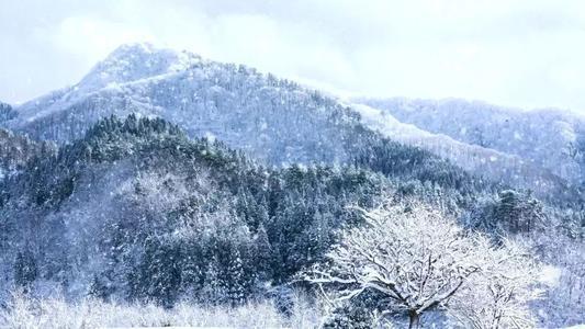 沁园春雪的格式