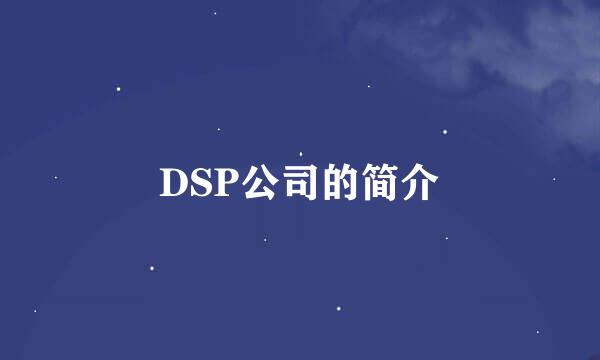 DSP公司的简介