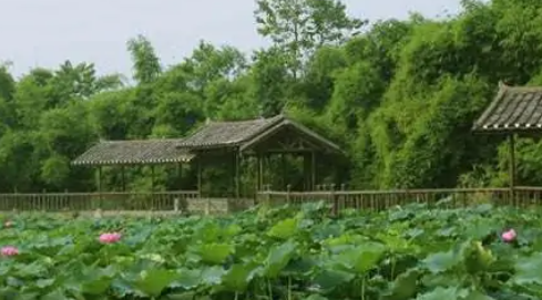 什么包括山水远足民宿休闲土味美食民俗文化农耕体验？