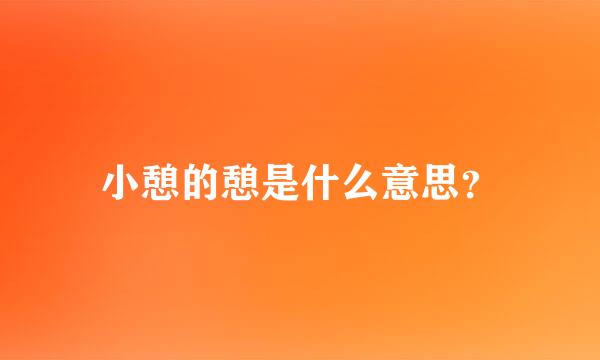 小憩的憩是什么意思？