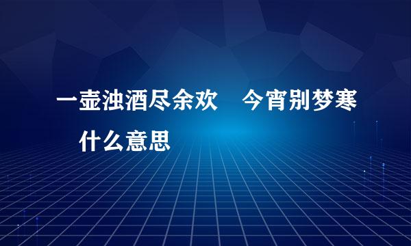 一壶浊酒尽余欢 今宵别梦寒 什么意思