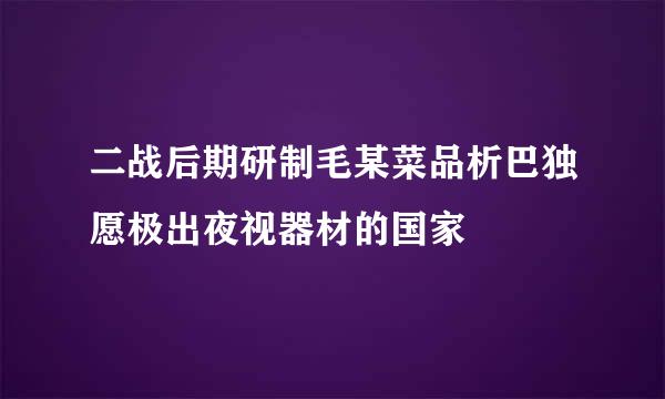 二战后期研制毛某菜品析巴独愿极出夜视器材的国家