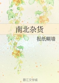 求报纸糊墙的《南北杂货》txt