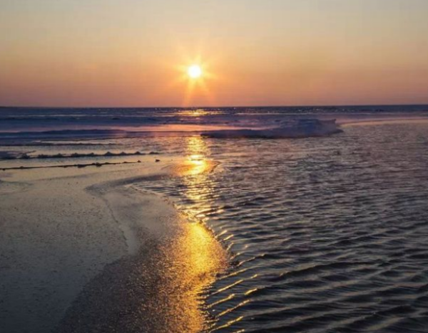 海日生残夜 江春入旧年的意思