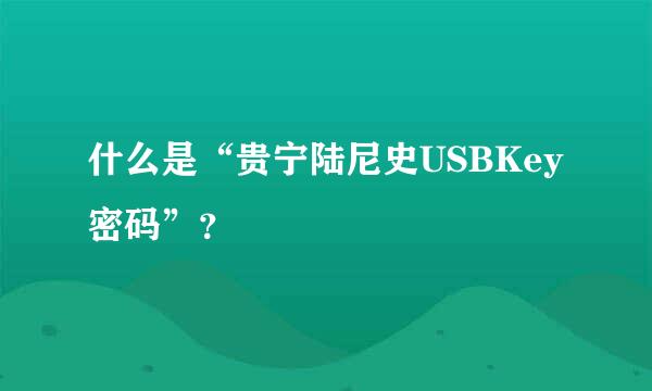 什么是“贵宁陆尼史USBKey密码”？