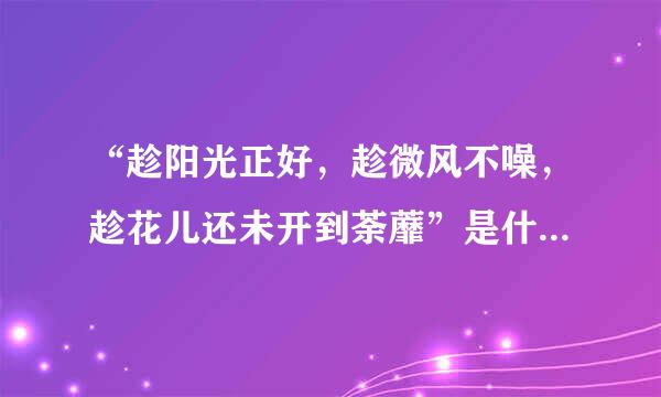 “趁阳光正好，趁微风不噪，趁花儿还未开到荼蘼”是什么意思？