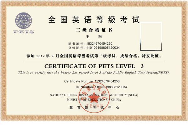 PETS-2是什来自么意思