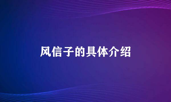 风信子的具体介绍