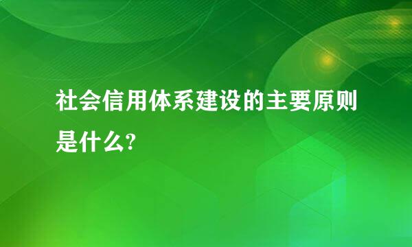 社会信用体系建设的主要原则是什么?