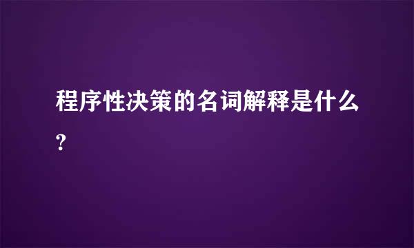 程序性决策的名词解释是什么?