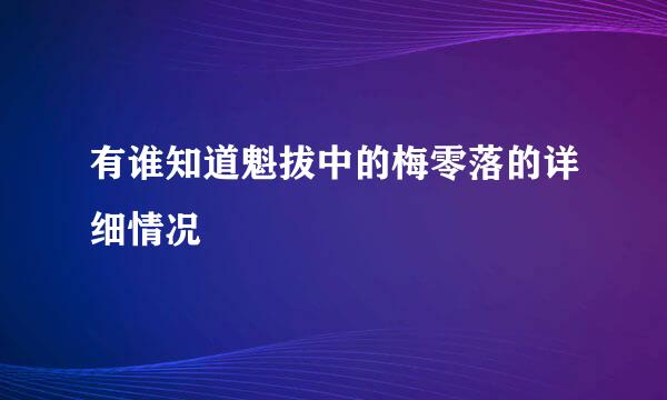 有谁知道魁拔中的梅零落的详细情况