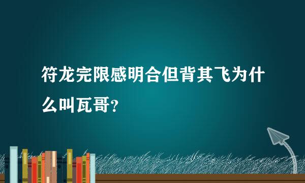 符龙完限感明合但背其飞为什么叫瓦哥？