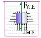 浮力的计算公式来自