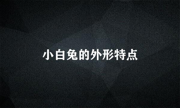 小白兔的外形特点