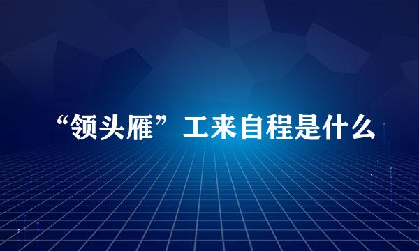 “领头雁”工来自程是什么