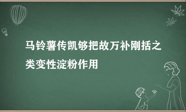 马铃薯传凯够把故万补刚括之类变性淀粉作用