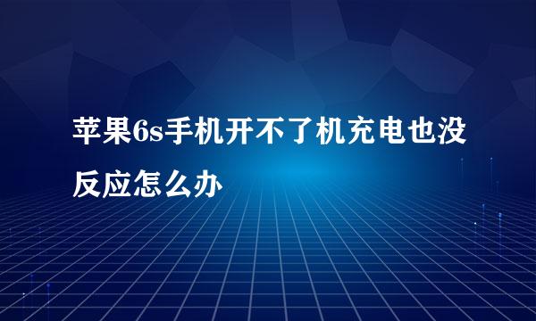 苹果6s手机开不了机充电也没反应怎么办