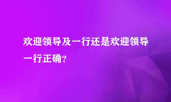 欢迎领导及一行还是欢迎领导一行正确？