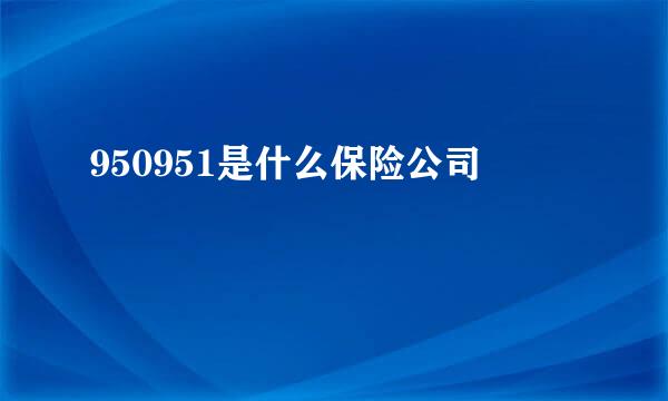 950951是什么保险公司