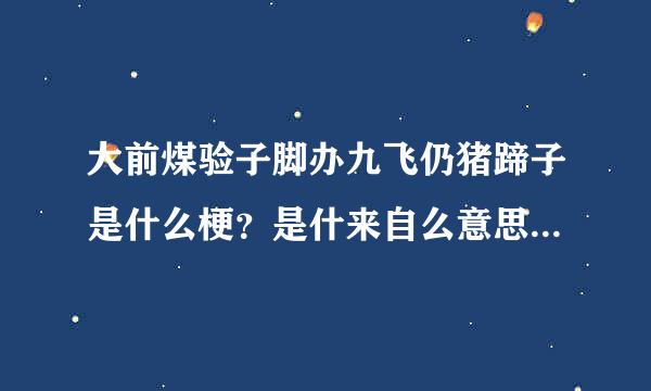 大前煤验子脚办九飞仍猪蹄子是什么梗？是什来自么意思？女人大猪蹄子，男人大猪蹄子，什么意思啊？？？