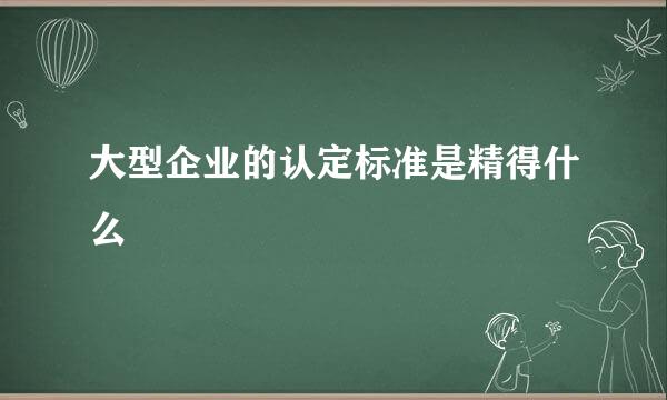 大型企业的认定标准是精得什么