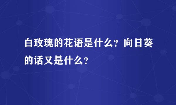 白玫瑰的花语是什么？向日葵的话又是什么？