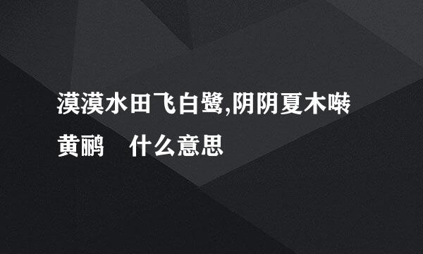 漠漠水田飞白鹭,阴阴夏木啭黄鹂 什么意思